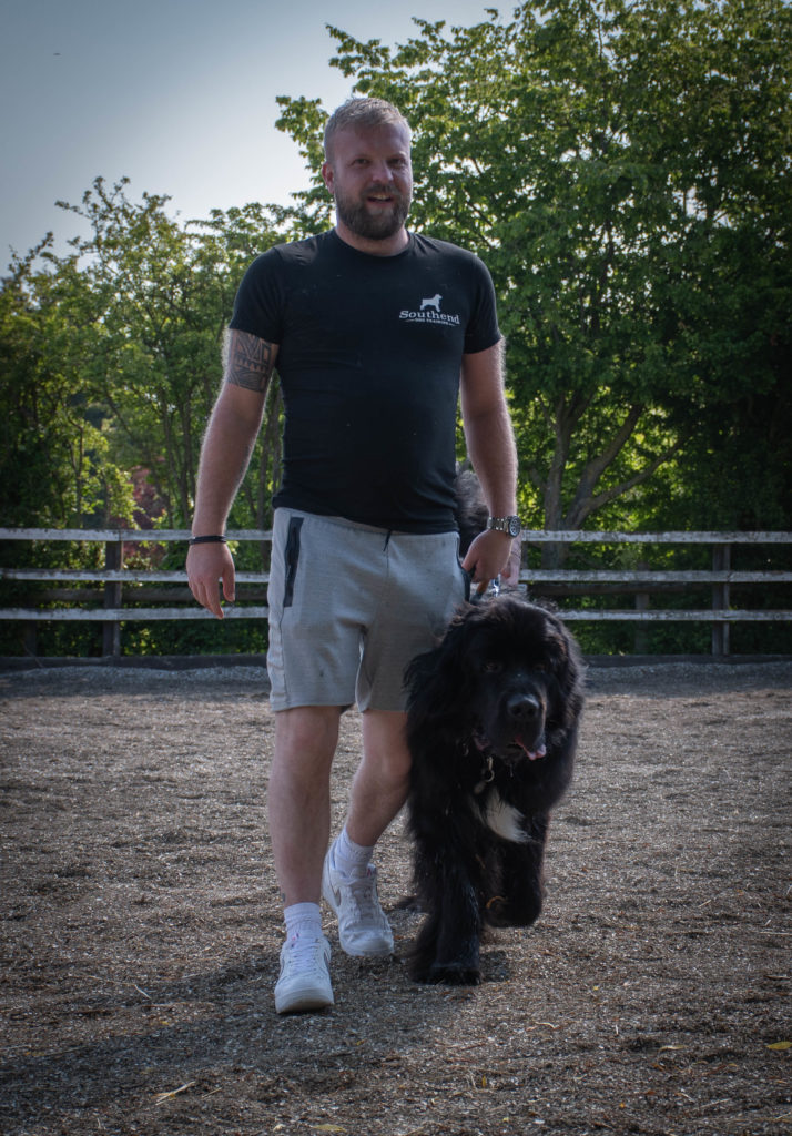 Membership • Southend Dog Training