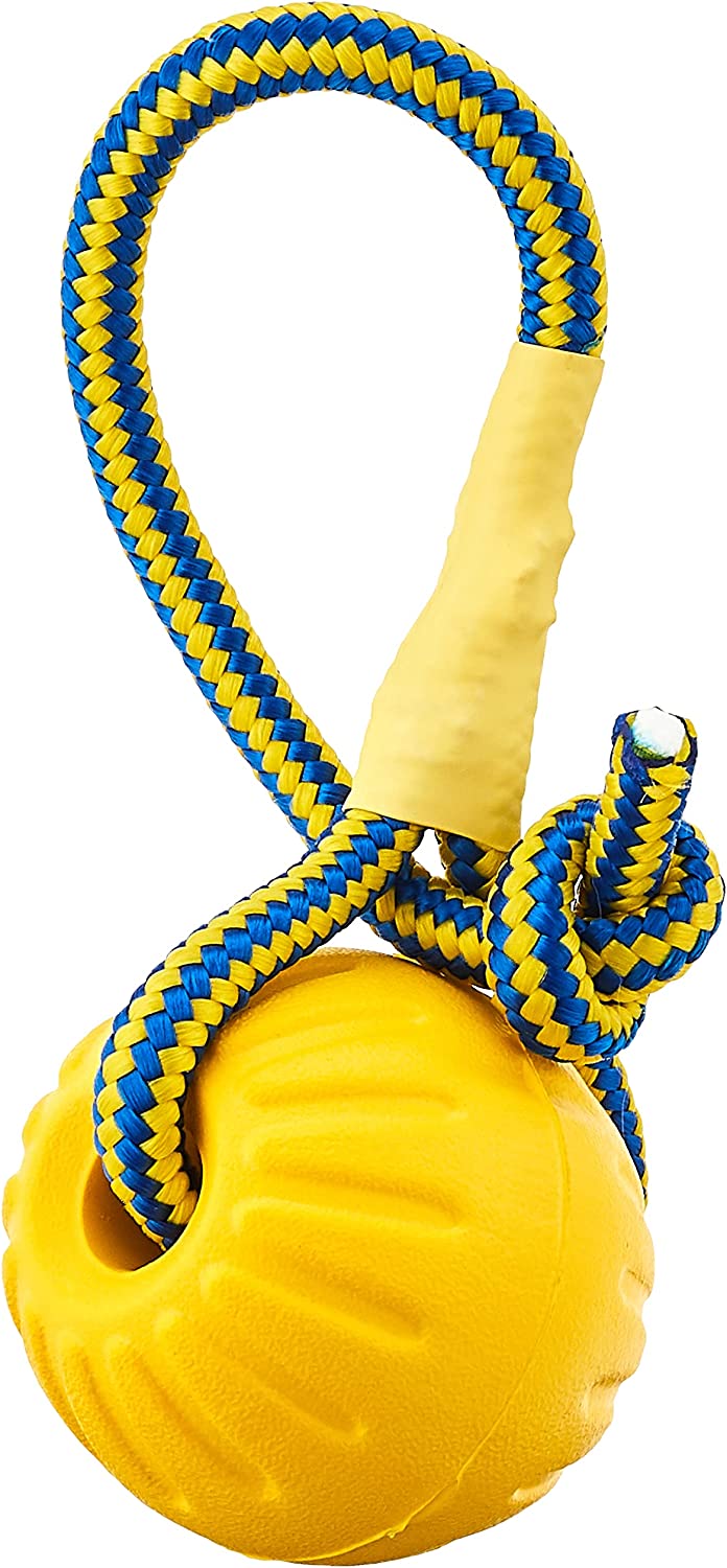 Everlasting Starmark Fantastic Foam Ball On A Rope Southend Dog Training