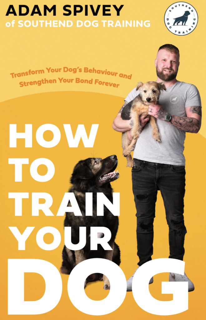 How To Train Your Dog • Southend Dog Training