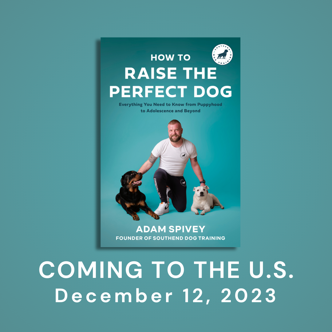 u-s-edition-dog-training-book-how-to-raise-the-perfect-dog-southend