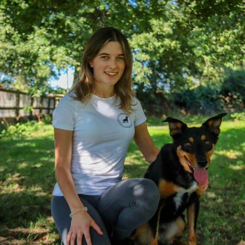 About Us • Southend Dog Training