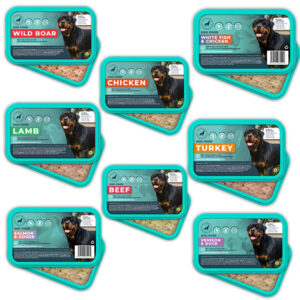 Big Bundle Box Adult Raw Dog Food Complete